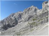 Palafavera - Rifugio Torrani